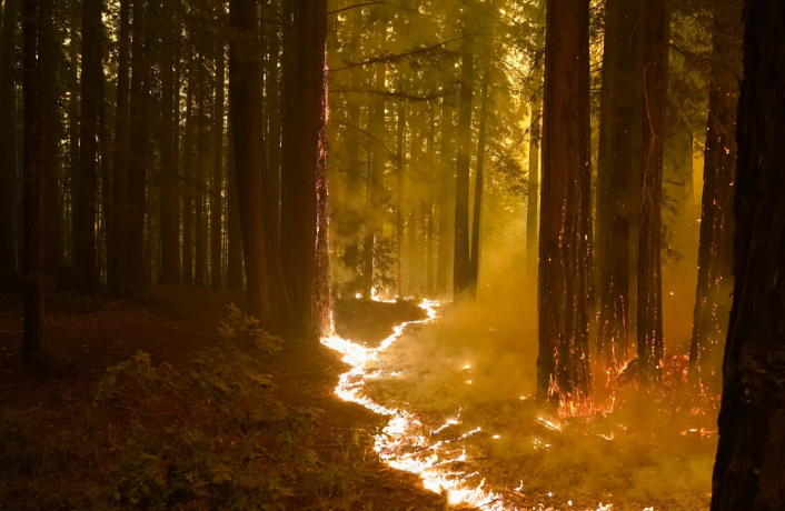 Californiens naturbrande
