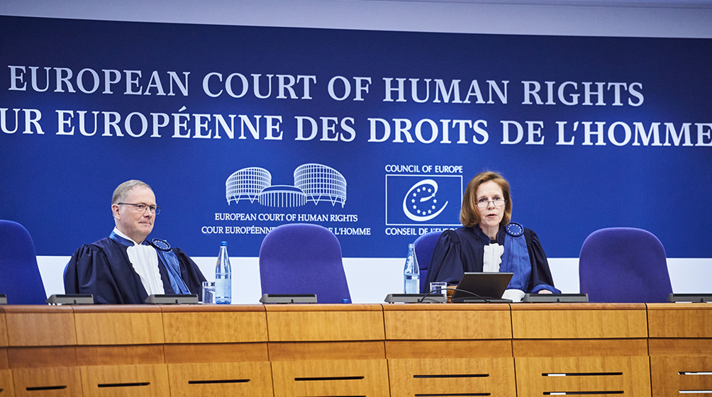 Menneskerettigheds-domstolen